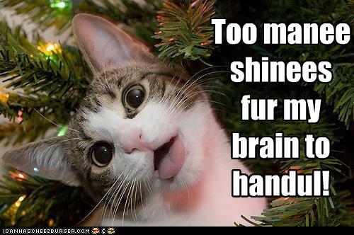 Too manee shinees fur my brain to handul!